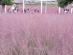 -牛岗山公园