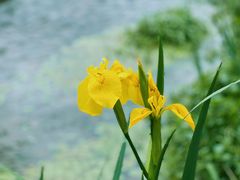 -中国茶叶博物馆(双峰馆区)