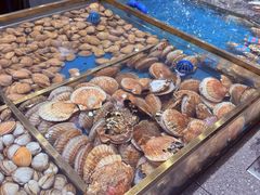 -半岛听涛蒸汽海鲜自助(K11店)