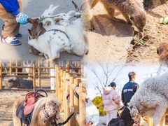 -茅山东方盐湖城景区