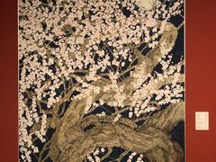 -江苏省美术馆(长江路新馆)