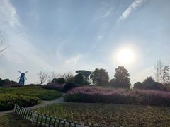 -铁山坪森林公园