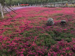-云幽谷旅游区