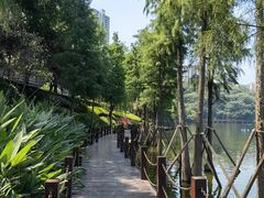 -重庆彩云湖湿地公园