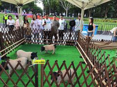 -北外滩滨江绿地