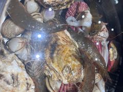 -大锅强·蒸海鲜青岛菜(吾悦广场店)