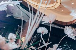 -艾米婚纱&婚礼策划