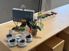 -大众茶馆·悠茶小驿(一中店)