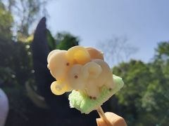 -野象谷景区