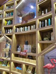 -卡通尼·Safari非洲探索乐园·生日会(金桥国际商业广场店)