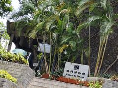 -大炮台