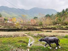 -塔川景区