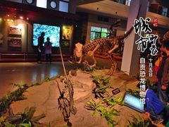 -自贡恐龙博物馆