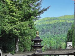 -武陵山森林公园