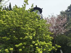 -南通濠河风景名胜区