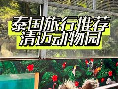 -清迈夜间动物园