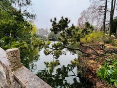 -上海醉白池公园