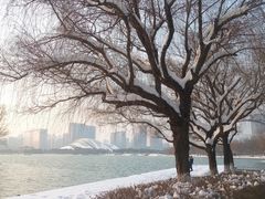 -天鹅湖体育公园