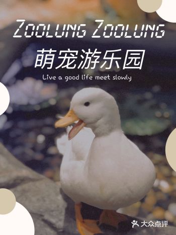 王思聪开的萌宠动物园，你来过嘛！