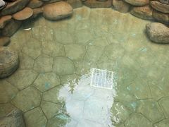 -张家港金凤凰度假村温泉