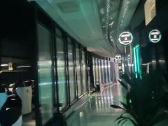 -绿树电竞(五路店)
