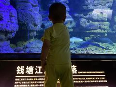 -江和美海洋公园