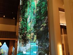 -桂满陇·海市蜃楼·黑金(国金店)