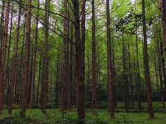 -小格里自然风景区