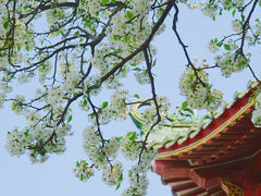 -中山公园