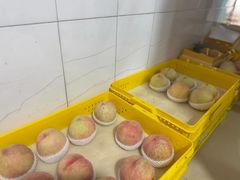 -老袁家蜜桃农场·阳山水蜜桃