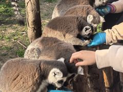 -宁波野生动物园
