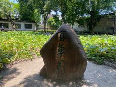 -绍兴鲁迅故里·沈园景区