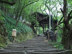 -南山植物园