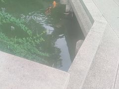 -檀园