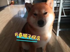 -宠颐生动物医院·心脏科·保险定点(锦阳分院)