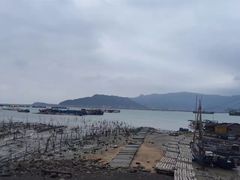 -罗源湾8号渔排
