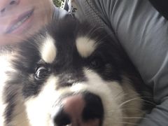 -思迈威健身(积玉桥万达店)