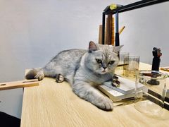 -Oasis绿洲银饰珍珠手作diy(壹方城店)