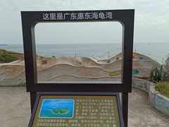 -广东惠东海龟国家级自然保护区