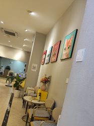 -洗脸猫·洗脸吧