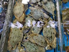 -四川小胡子海鲜(丁村万人海鲜广场店)