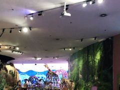 -陕西自然博物馆