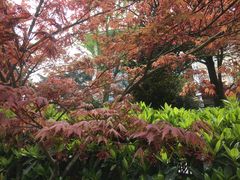 -白马涧龙池景区