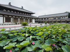 -舍利塔滩地公园-无垢净光舍利塔