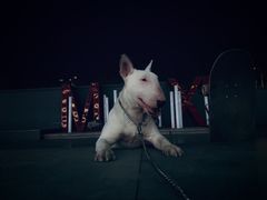 -帝玛进口精品超市D-MART