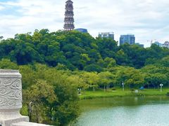 -顺峰山公园