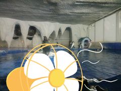 -太平洋海底世界