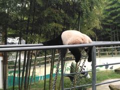 -天目湖御水温泉·度假酒店