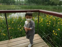 -东郊湿地公园