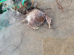 -北戴河东海水浴场